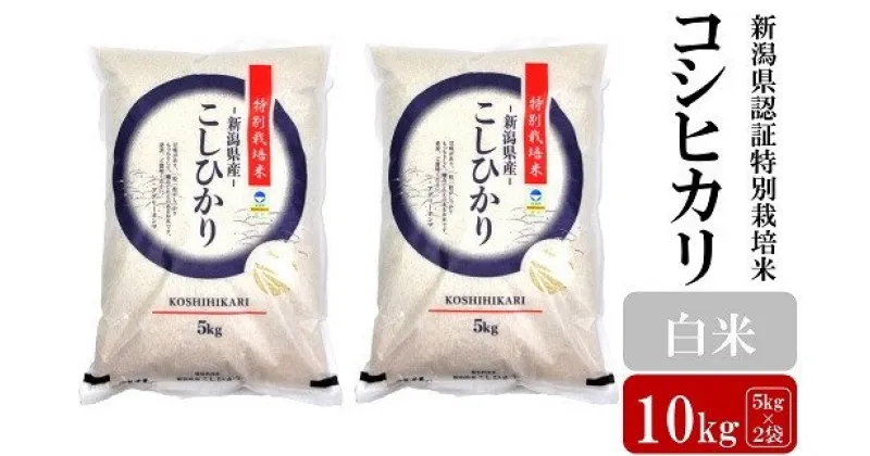 【ふるさと納税】【令和6年産新米】コシヒカリ 白米 10kg（5kg×2袋）新潟県認証特別栽培米 お米 新潟県産【 新潟県 柏崎市 】