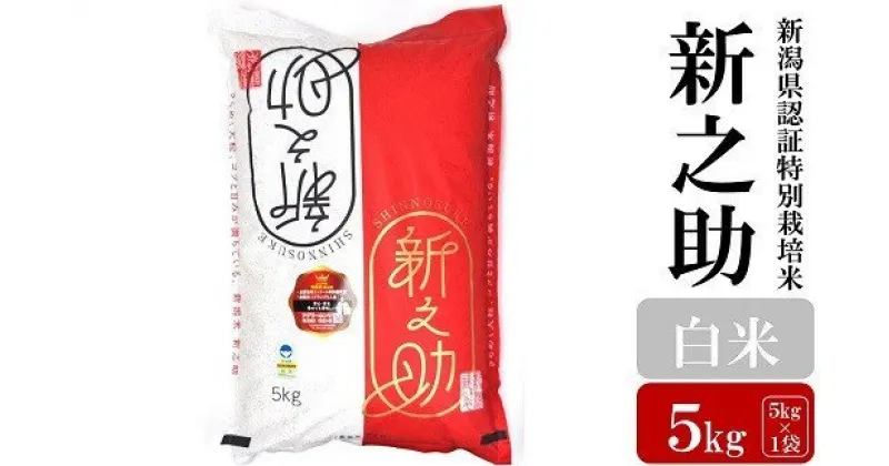 【ふるさと納税】【令和6年産新米】新之助 白米 5kg 新潟県認証特別栽培米 お米 新潟県産【 新潟県 柏崎市 】