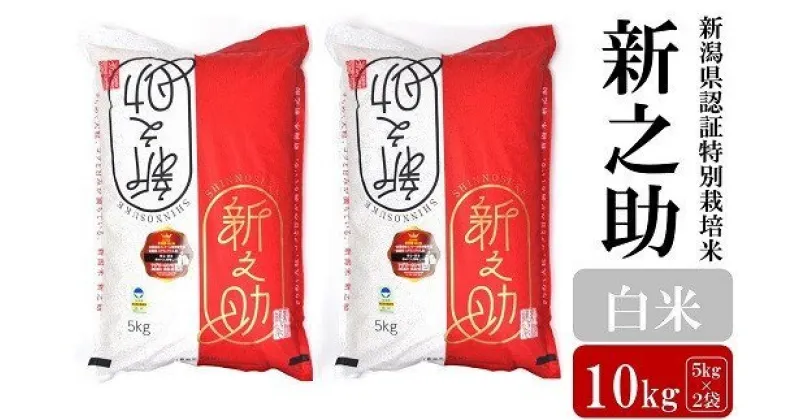 【ふるさと納税】【令和6年産新米】 新之助 白米 10kg (5kg×2袋) 新潟県認証特別栽培米 お米 新潟県産【 10kg 米 お米 白米 精米 袋 国産 ごはん ご飯 白飯 大容量 送料無料 新潟県 柏崎市 】