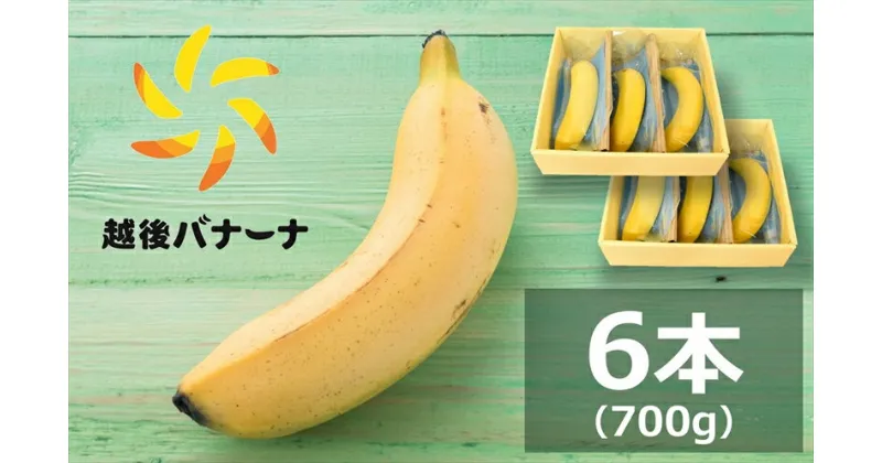 【ふるさと納税】【雪国新潟産バナナ】6本（700g）濃厚な甘さともっちり食感！安心安全の越後バナーナ【 新潟県 柏崎市 】