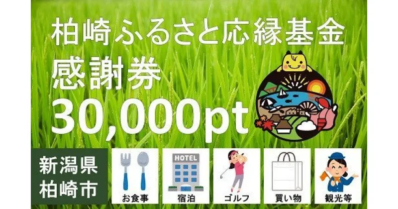 【ふるさと納税】柏崎ふるさと応縁基金感謝券（30,000pt）【 新潟県 柏崎市 】