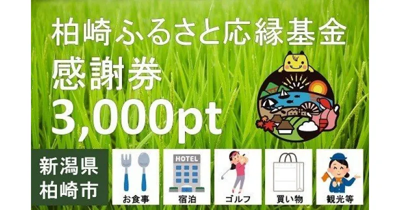 【ふるさと納税】柏崎ふるさと応縁基金感謝券（3,000pt）【 新潟県 柏崎市 】