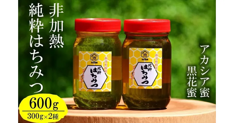 【ふるさと納税】【令和6年産・数量限定】国産 非加熱 純粋はちみつ 300g×2種類（アカシア蜜・黒花槐蜜）食べ比べセット 柏崎産【 新潟県 柏崎市 】