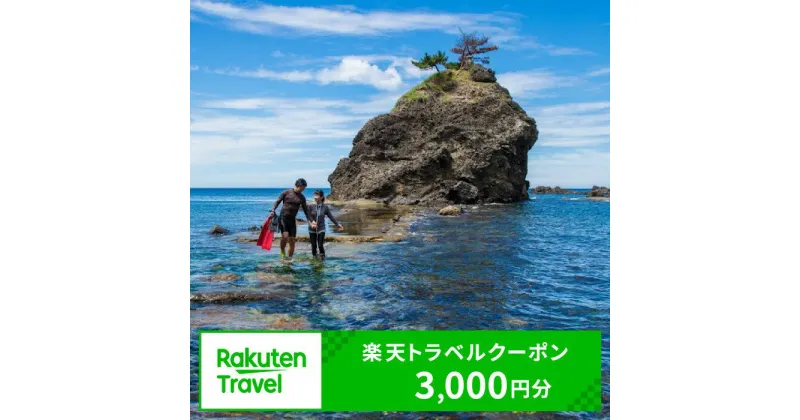 【ふるさと納税】 新潟県柏崎市の対象施設で使える楽天トラベルクーポン 寄附額10,000円