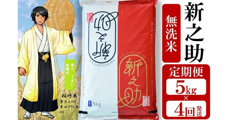 【ふるさと納税】令和6年産新米【定期便】新之助 無洗米 5kg×4回（計 20kg） 望月鉄心が育てたお米【 米 お米 新潟県 柏崎市 】