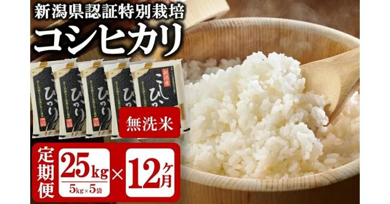 【ふるさと納税】【令和6年産新米・12ヶ月定期便】真空パック 特別栽培米 コシヒカリ 無洗米 25kg（5kg×5袋）×12回（計 300kg） 山波農場のお米 新潟県産 【 お米 新潟県 柏崎市 】