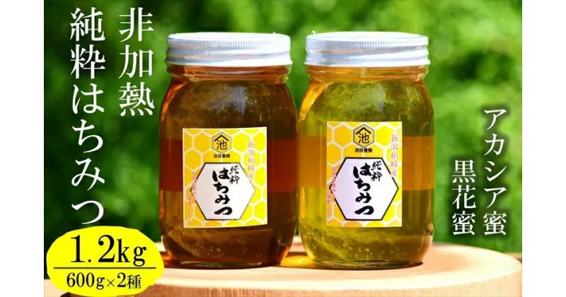 【ふるさと納税】【令和6年産・数量限定】国産 非加熱 純粋はちみつ 600g×2種類（アカシア蜜・黒花槐蜜）食べ比べセット 柏崎産【 新潟県 柏崎市 】