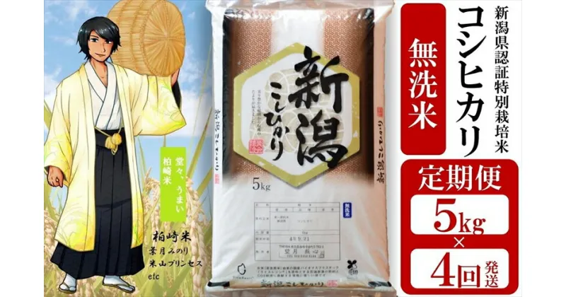 【ふるさと納税】令和6年産新米【定期便】新潟県特別栽培米 コシヒカリ 無洗米 5kg×4回（計 20kg） 望月鉄心が育てたお米【 新潟県 柏崎市 】