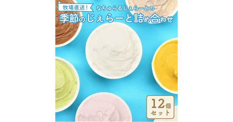 【ふるさと納税】 【日時指定必須】 ジェラート 12個セット 【 ミルク チョコ ブルーベリー チーズ お茶 緑茶 紅茶 ほうじ茶 ラム レーズン ピスタチオ 塩 キャラメル アイス ジェラート セット 季節 お茶 冨士美園 てづくり なちゅらるじぇらーと なかの牧場 12個 F02 】