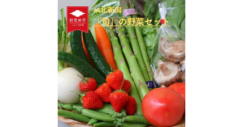 【ふるさと納税】 新発田産 旬の野菜セット【 JA北新潟 野菜セット 直売所 食育ソムリエ 旬 C08 】