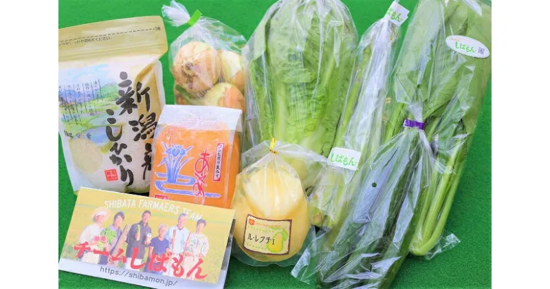 【ふるさと納税】 teamしばもん特選 野菜セット【 新潟 新発田市 野菜 食材 セット 詰め合わせ C16_01 】