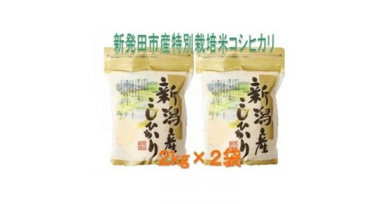 【ふるさと納税】 新潟県産 特別栽培米コシヒカリ 新潟 新発田市 D31 2kg 4kg D30 48kg 12か月 D29 24kg 6か月 定期便