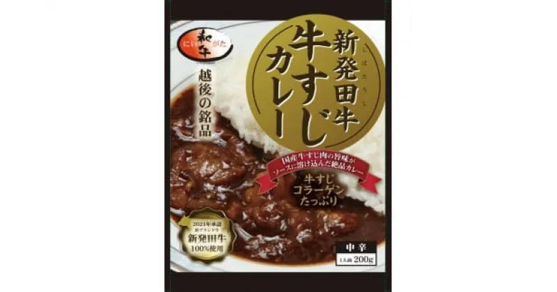 【ふるさと納税】 牛すじ カレー 6個 セット 200g×6 パック 牛肉 肉 和牛 保存食 備蓄 レトルト 防災 新発田市 新潟 新発田牛 厳選和牛 贅沢 牛肉 国産 ご飯 にいがた ブランド牛 備蓄食 保存 贈答 プレゼント おすすめ お取り寄せ 家族