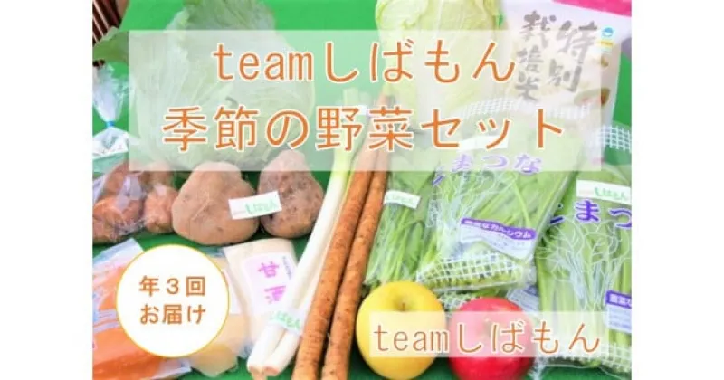 【ふるさと納税】 【年3回】 teamしばもん 季節の野菜セット【 新潟 新発田 野菜 セット しばもん 生産者直送 年3回 定期便 新発田市 新潟県 C17_01 】