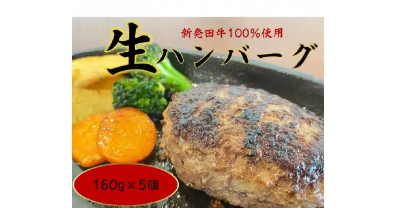 【ふるさと納税】 先崎畜産 新発田牛 100%使用 生ハンバーグ 【 新発田牛 にいがた和牛 ブランド ブランド牛 5個 10個 牛肉 ハンバーグ A5 H21 H22 】