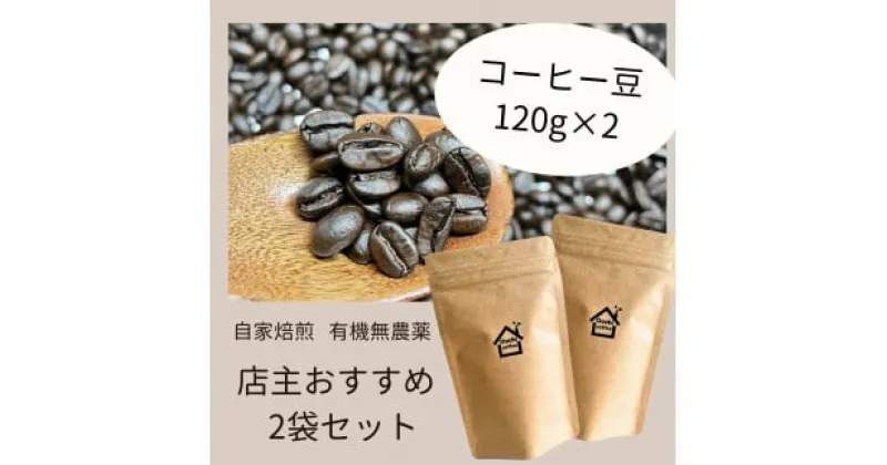 【ふるさと納税】 農薬不使用 自家焙煎 おすすめ2種焙煎豆セット 【 240g 120g×2袋 フェアトレードコーヒー オーガニック 有機栽培 有機 コーヒー豆 C57 】