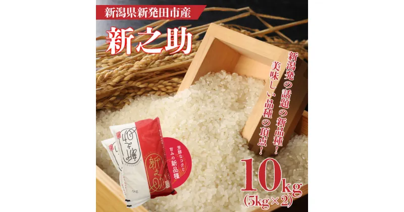 【ふるさと納税】 令和6年産 新之助 10kg 【 新潟 新潟県 米 5kg　2袋 新之助 新発田産 白米 精米 新米 ご飯 ごはん お米 おこめ こめ ライス 美味しい おいしい】