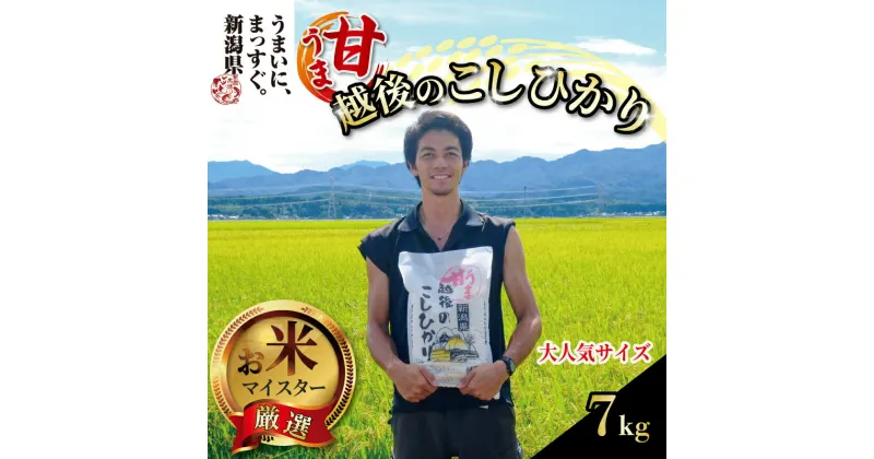 【ふるさと納税】令和6年産 甘うま越後のこしひかり 7kg 越後 えちご 玄米 特別栽培米 新潟 コメ こめ お米 米 しんまい 新潟県 新潟米 新発田市 新発田産 10月発送