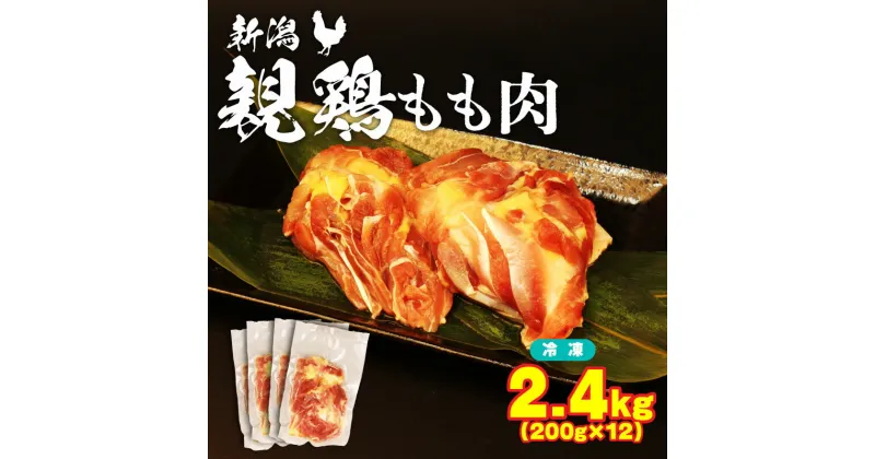 【ふるさと納税】 親鶏 もも肉 2.4kg 200g × 12 パック 鶏肉 鶏 冷凍 冷凍便 小分け チキン タンパク もも 肉 とり 鳥肉 精肉 ブランド鶏 鍋 汁物 郷土食 新潟親鶏 新潟産 新発田産 マルコ岩村 新潟県 新発田市 maruco001