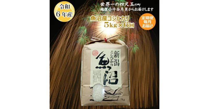 【ふるさと納税】令和6年産 定期便 魚沼産コシヒカリ 白米 5kg 6回 毎月 お届け 米 お米 精米 ブランド米 魚沼産こしひかり コシヒカリ おいしい 美味しい おすすめ 人気 米萬商店 新潟県 小千谷市 K76P307