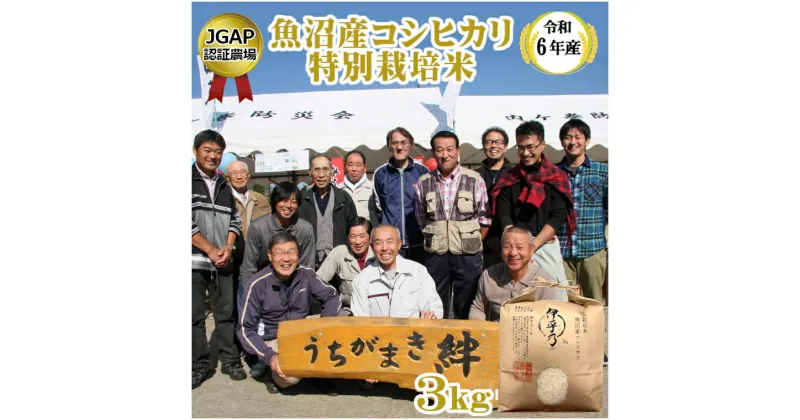 【ふるさと納税】令和6年産 魚沼産 コシヒカリ 特別栽培米「伊乎乃(いおの)」3kg うちがまき絆 こしひかり 米 白米 精米 お米 ブランド米 産地直送 お取り寄せ おいしい おすすめ 魚沼 新潟県 小千谷市 U11P359