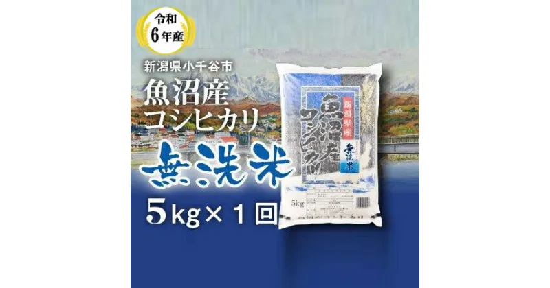 【ふるさと納税】 令和6年産 魚沼産 コシヒカリ 無洗米 5kg 米 お米 白米 精米 ブランド米 魚沼産こしひかり コシヒカリ 産地直送 お取り寄せ おいしい 美味しい おすすめ 人気 米太 新潟 魚沼 小千谷市 KT13P342