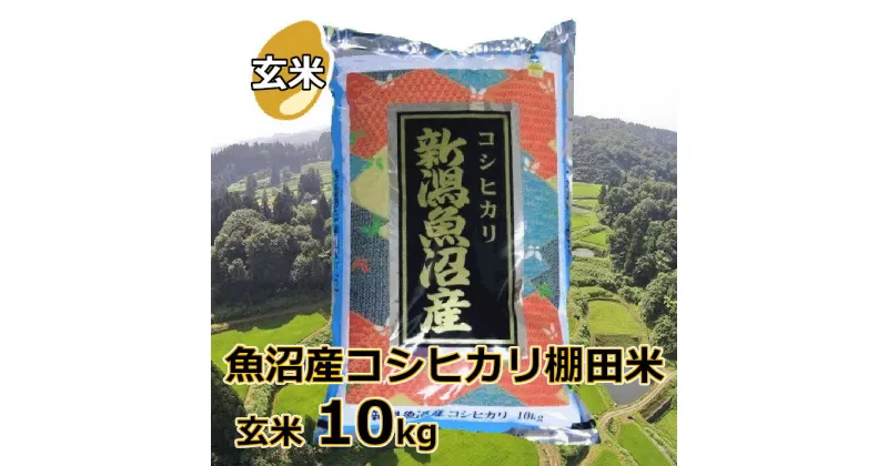 【ふるさと納税】魚沼産コシヒカリ 棚田米 玄米 10kg r05-025-001