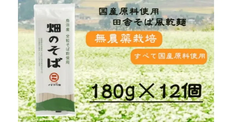 【ふるさと納税】そば 乾麺 無添加 畑のそば （180g×12個） r05-015-004