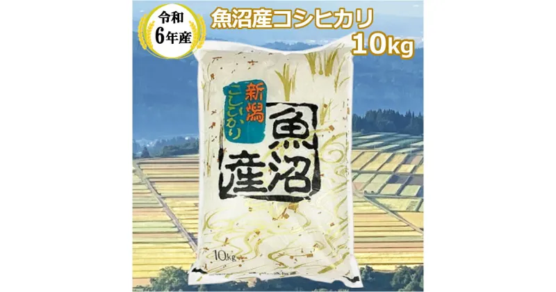 【ふるさと納税】令和6年産 魚沼産 コシヒカリ 10kg 米 お米 精米 ブランド米 こしひかり おいしい 美味しい おすすめ ギフト 贈答 贈り物 おむすび 冷めてもおいしい 人気 共栄農工社 魚沼 新潟県 小千谷市 KY29P407