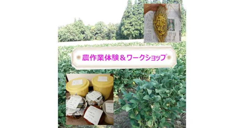 【ふるさと納税】里山を守ろう＜自然栽培大豆のオーナー＞味噌・納豆づくり r05-027-006