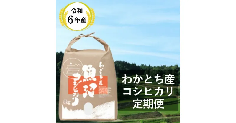 【ふるさと納税】定期便 令和6年産 わかとち産 魚沼コシヒカリ 特別栽培 棚田米 5kg×6回 【毎月お届け】 30kg 白米 W60P153