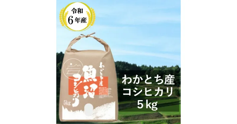 【ふるさと納税】令和6年産 わかとち産 魚沼コシヒカリ 特別栽培 棚田米 5kg 新潟県 小千谷市 白米 W10P150