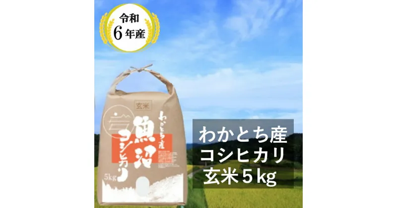 【ふるさと納税】令和6年産 わかとち産 魚沼コシヒカリ 特別栽培 棚田米「玄米」5kg W10P151