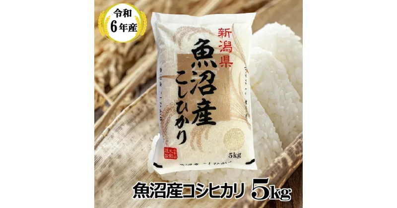 【ふるさと納税】令和6年産 魚沼産コシヒカリ5kg 白米 精米 お米 米 コシヒカリ こしひかり 新潟県 魚沼産 魚沼 産地直送 お取り寄せ おいしい 人気 小千谷市（小千谷米穀） 11P376BE