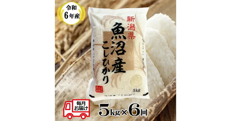 【ふるさと納税】〔定期便〕令和6年産 魚沼産コシヒカリ 定期便 5kg×6回（毎月お届け）白米 精米 お米 ブランド米 産地直送 お取り寄せ おいしい 新潟県 魚沼 小千谷市（小千谷米穀） 66P389BE