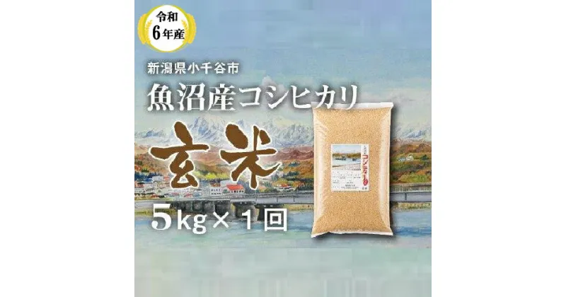 【ふるさと納税】令和6年産 魚沼産コシヒカリ 玄米 5kg 米 お米 おこめ ブランド米 こしひかり コシヒカリ 産地直送 お取り寄せ おいしい おすすめ 人気 米太 新潟 魚沼 小千谷市 KT12P347