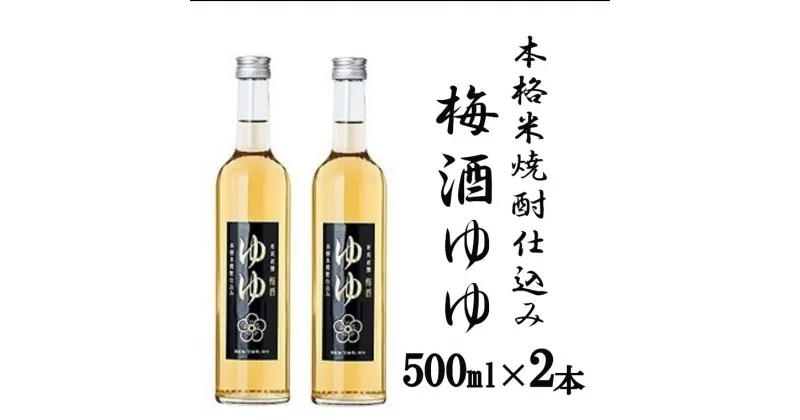 【ふるさと納税】梅酒 ゆゆ 500ml×2本 10P7