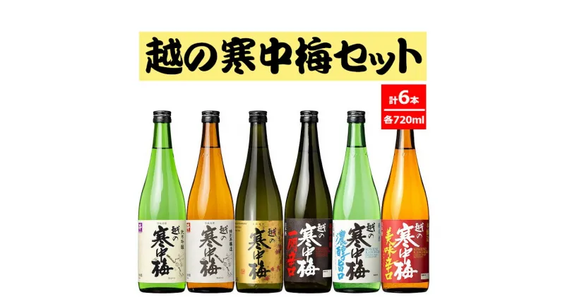 【ふるさと納税】越の寒中梅720ml×6本セット 淡麗辛口 新潟清酒 r05-030-010