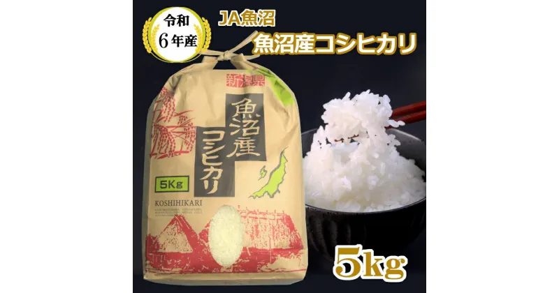 【ふるさと納税】令和6年産 魚沼産コシヒカリ5kg【クラフト袋入り】（JA魚沼）白米 魚沼 米 JA14P314