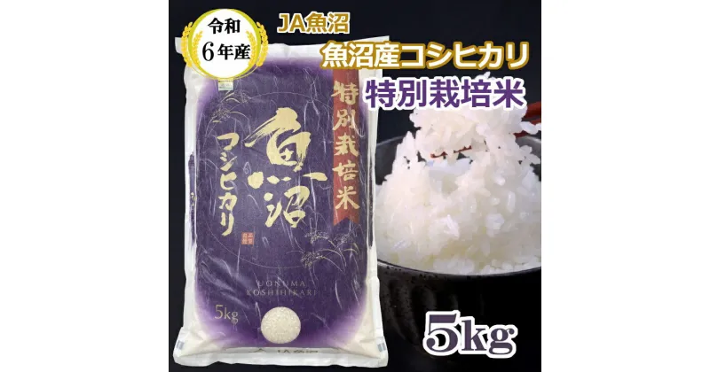 【ふるさと納税】令和6年産 特別栽培米 魚沼産コシヒカリ5kg JA魚沼 白米 魚沼 米 JA15P316