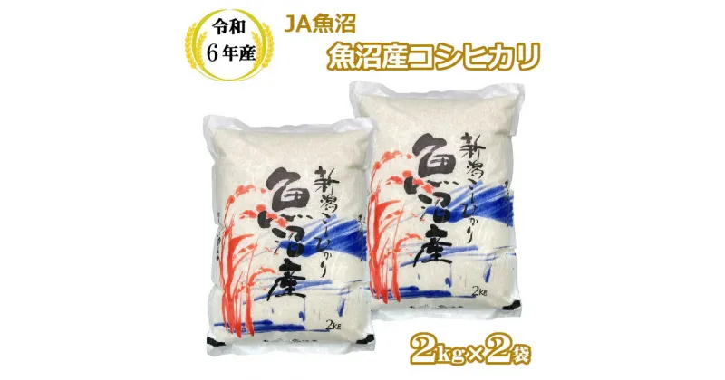 【ふるさと納税】令和6年産 魚沼産コシヒカリ2kg×2袋（JA魚沼）白米 魚沼 米 JA13P313