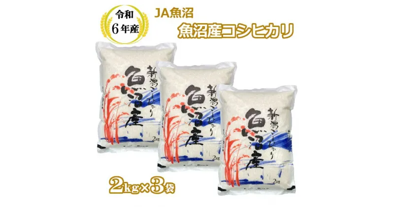 【ふるさと納税】令和6年産 魚沼産コシヒカリ2kg×3袋（JA魚沼）白米 魚沼 米 JA19P318