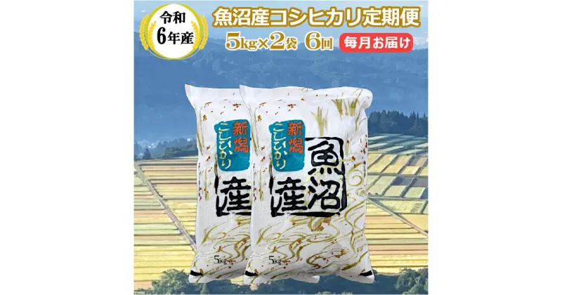 【ふるさと納税】令和6年産 魚沼産 コシヒカリ 定期便 5kg2袋×6回／毎月 お届け 米 お米 精米 ブランド米 こしひかり おいしい 美味しい おすすめ 産地直送 お取り寄せ ギフト 贈答 贈り物 おむすび 冷めてもおいしい 人気 共栄農工社 魚沼 新潟県 小千谷市 KY173P411