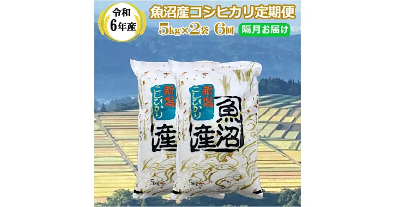 【ふるさと納税】令和6年産 魚沼産 コシヒカリ 定期便 5kg2袋×6回／隔月 お届け 米 お米 精米 ブランド米 こしひかり おいしい 美味しい おすすめ 産地直送 お取り寄せ ギフト 贈答 贈り物 おむすび 冷めてもおいしい 人気 共栄農工社 魚沼 新潟県 小千谷市 KY173P412