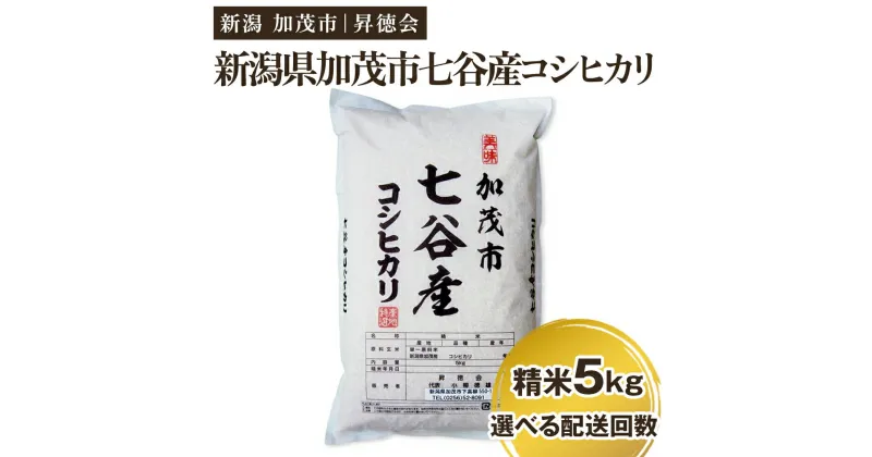 【ふるさと納税】【令和6年産新米先行予約】新潟県加茂市 七谷産コシヒカリ 精米5kg 選べる配送回数（通常配送1回～定期便12回）白米 高柳地域産数量限定 昇徳会