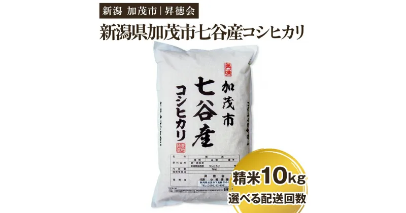 【ふるさと納税】【令和6年産新米先行予約】新潟県加茂市 七谷産コシヒカリ 精米10kg（5kg×2）選べる配送回数（通常配送1回～定期便12回）白米 高柳地域産数量限定 昇徳会