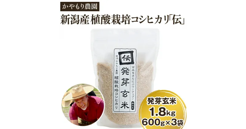 【ふるさと納税】令和5年産 [発芽玄米] 新潟産コシヒカリ「伝」発芽玄米1.8kg（600g×3個）かやもり農園