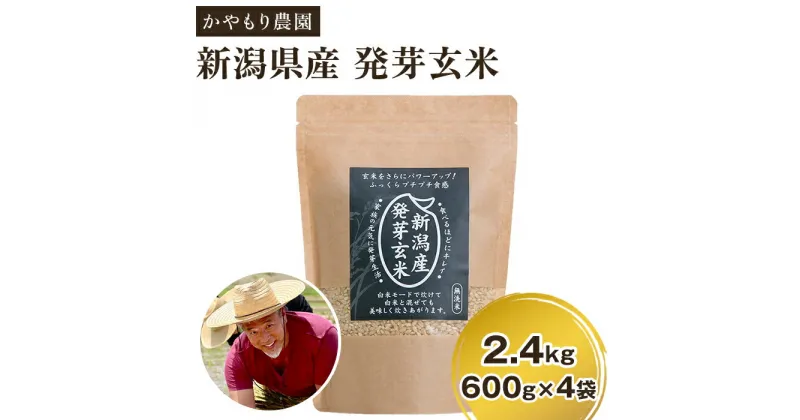 【ふるさと納税】令和5年産 [発芽玄米] 新潟産 発芽玄米2.4kg（600g×4個）新潟米 新潟県産 かやもり農園