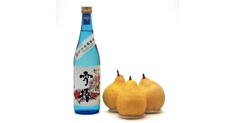 【ふるさと納税】地酒「越乃雪椿（雪椿酵母仕込）720ml」と新潟特産 幻の洋梨「ル・レクチェ]1kgセット 雪椿酒造 樋口農園《11月下旬から順次発送》 日本酒とフルーツの詰め合わせ 純米吟醸酒 ナシ 果物 贈答 加茂市 マルダイ有本