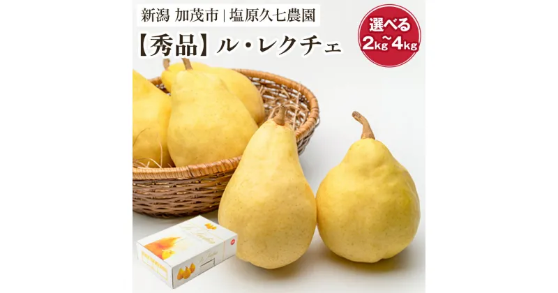 【ふるさと納税】【2024年先行予約】新潟特産 幻の洋梨ル・レクチェ 秀品 「約2kg」or「約3kg」or「約4kg」 《11月下旬から順次発送》 果物 フルーツギフト 冬の味覚 産地直送 加茂市 塩原久七農園